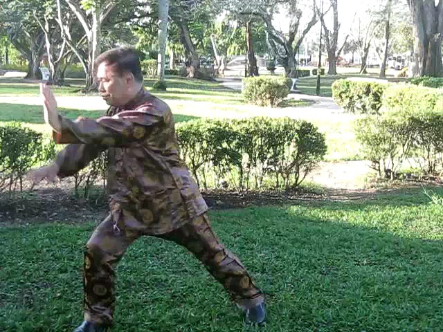 Sun Style Taijiquan